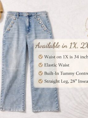 Saige Light Wash Straight Tummy Control Jeans 1X Stretch Denim